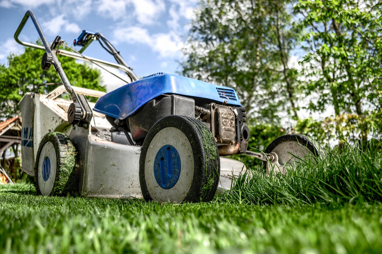 The dreaded lawnmower