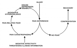 The Pain Cycle is important in cases of low back pain