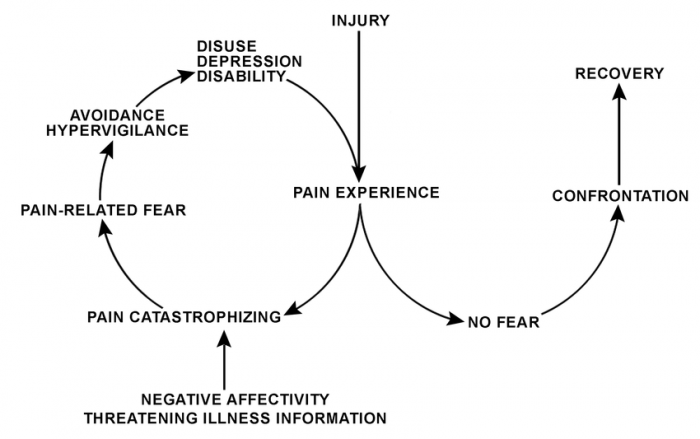 Low Back Pain - Four Points to Consider - Open Health Clinic