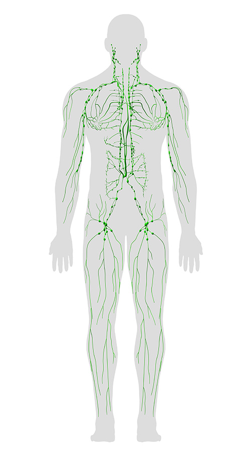 Lymphatic drainage - Specialist therapists - Enquire today!