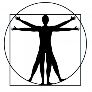 vitruvian man